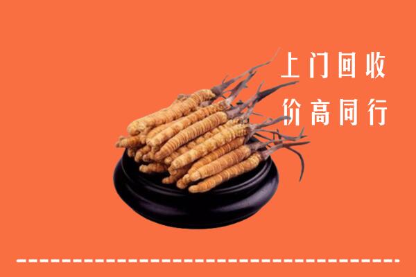 高价求购：北京市丰台区回收散虫草