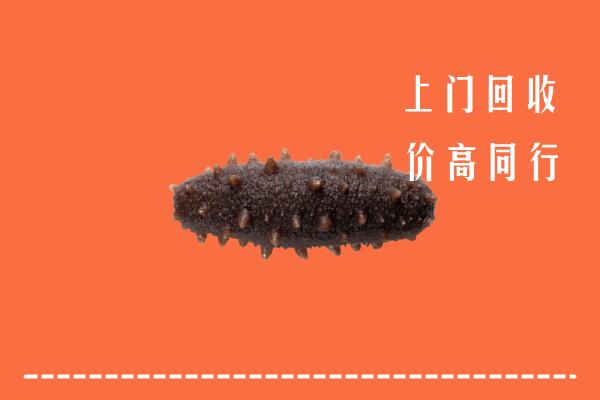 高价求购：北京市丰台区回收海参